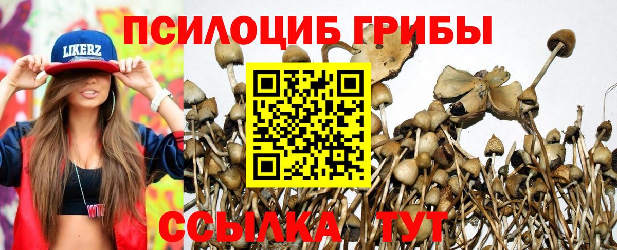 Кыштым  Галлюциногенные грибы ЛСД  Вход с VPN  Галлюциногенные грибы ЛСД 